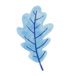 blue leaf, leaf, foliage-7746731.jpg