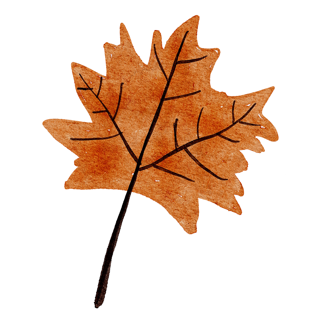 maple leaf, leaf, autumn-7746726.jpg