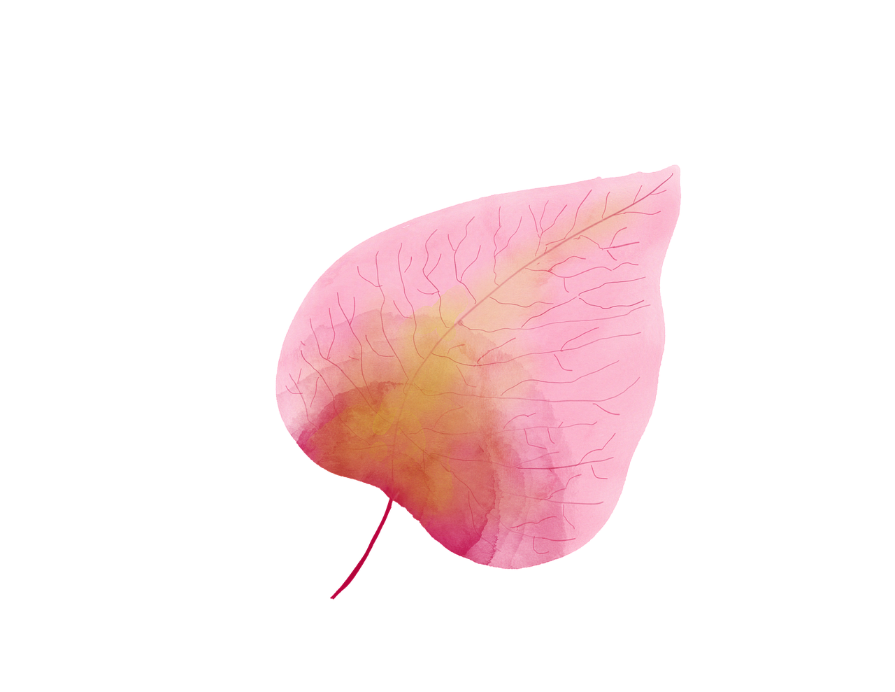 watercolour, watercolor leaf, pink-4357690.jpg